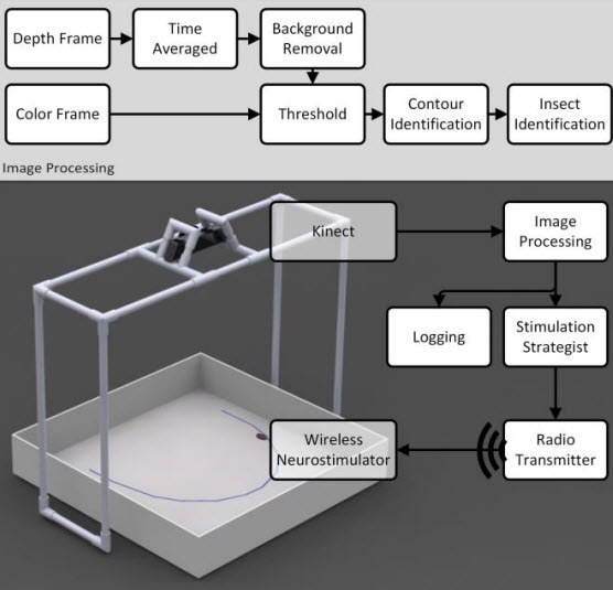 Kinect roach monitor