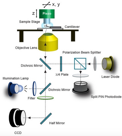 Long-tip high-speed AFM