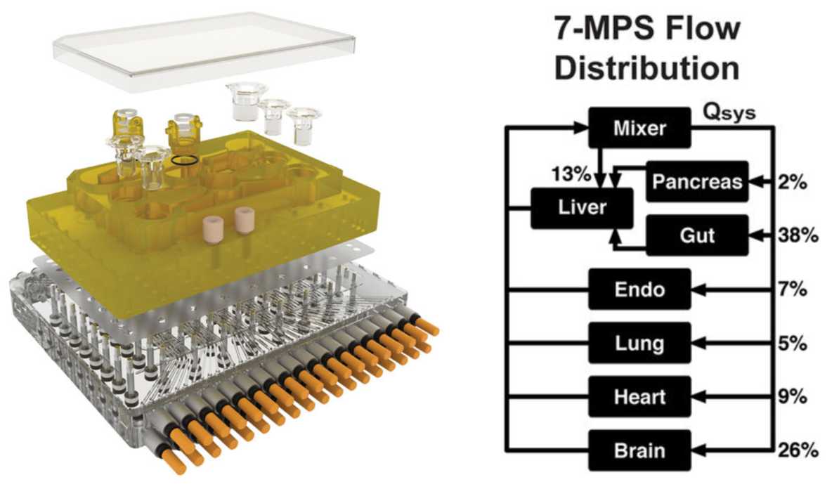 MPS platform and flow partitioning