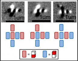 Magnetic-Memory Magnetic Memory