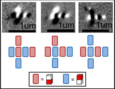 Magnetic Memory