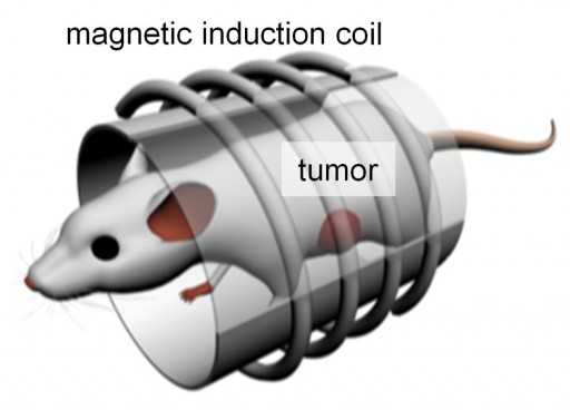 Magnetic Nanoparticles
