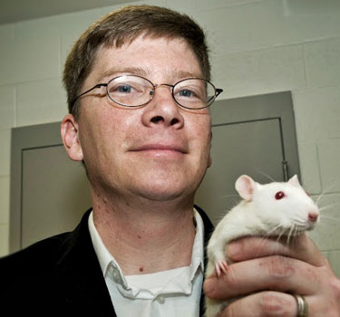 Meyers-Rat-Main-Image