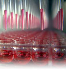 Micro-Bioreactor Micro Bioreactor