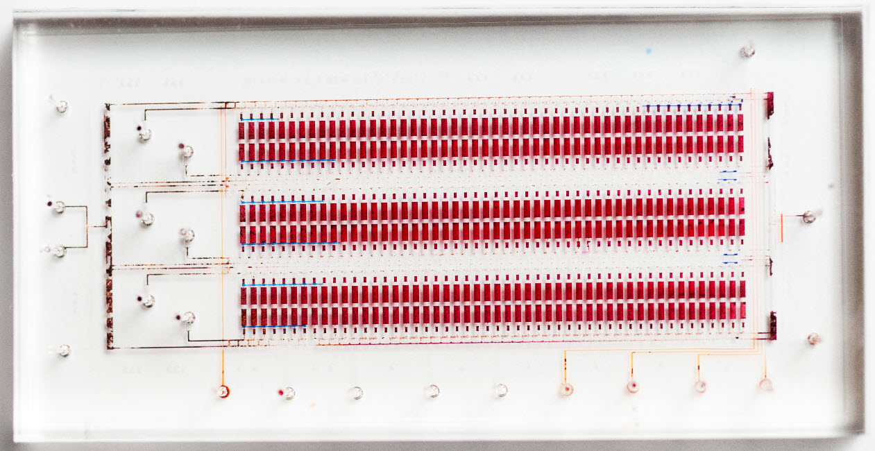 Microfluidic-chip-03