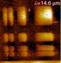 Microscopy Image