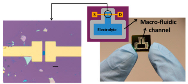 MoS2 biosensor image