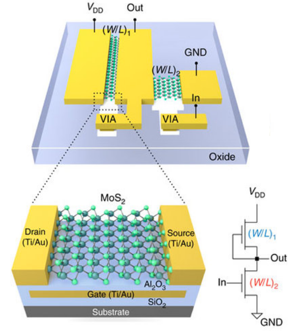 MoS2 inverter