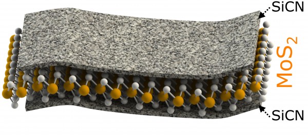 Molybdenum disulfide sheets