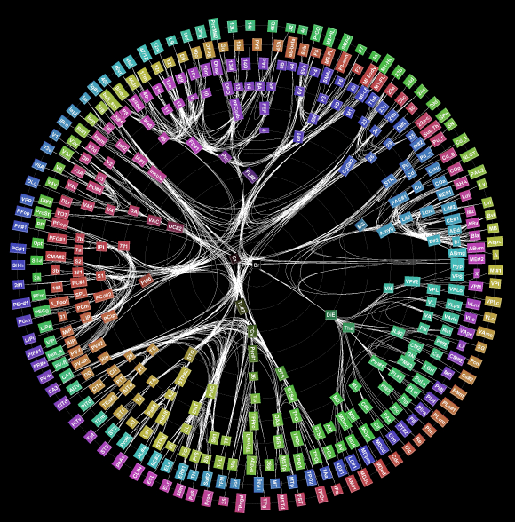 Monkey_connections