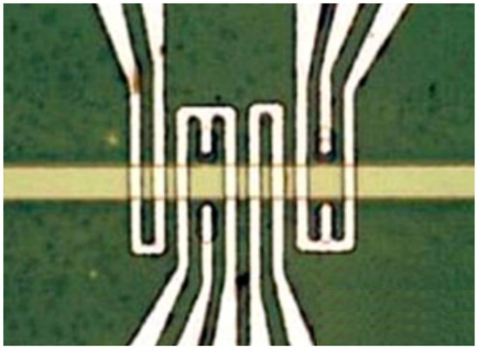 Multiferroic_Materials