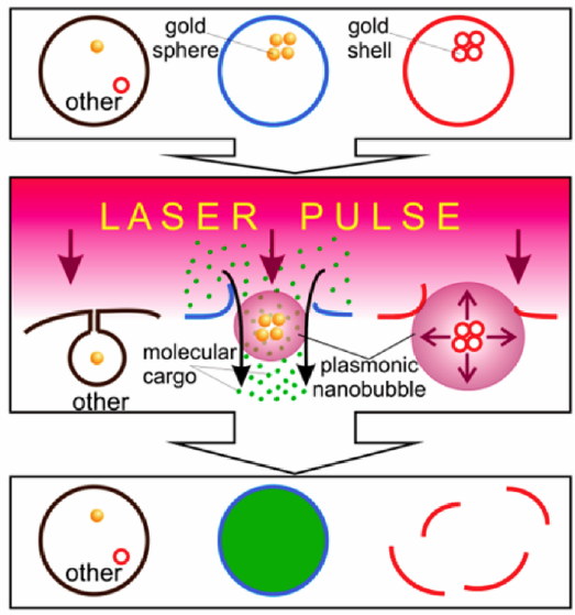 Multifunctional cell-specific processing