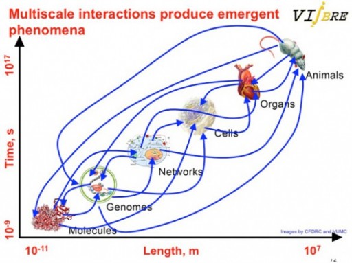 Multiscale Interactions