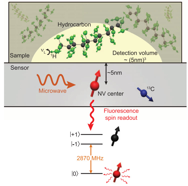 NMR - bio