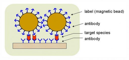 Nano Bead