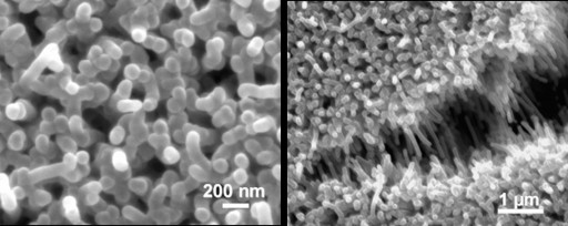 Nano Bundles