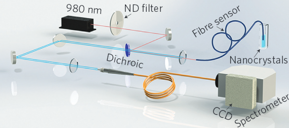 Nanocrystal detection system