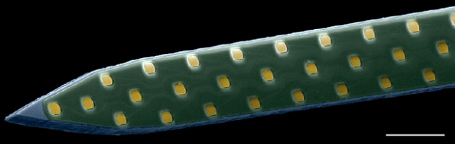 Nanofabricated_planar_electrode_array Nanofabricated_planar_electrode_array