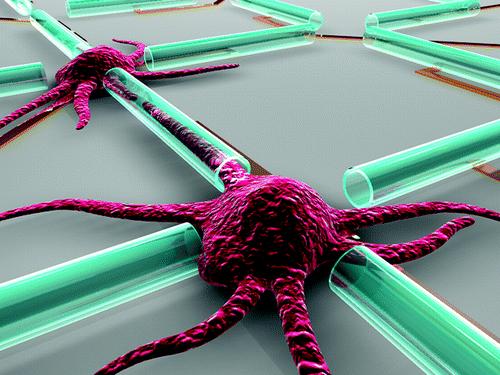 Nanomembrane-Tubes Nanomembrane Tubes