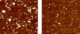 Nanoparticle-Toxicity Nanoparticle Toxicity
