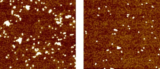 Nanoparticle Toxicity