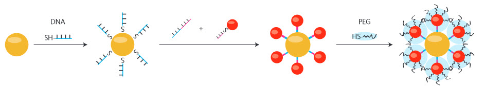 Nanoparticle superstructures
