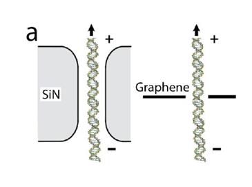 Nanopore