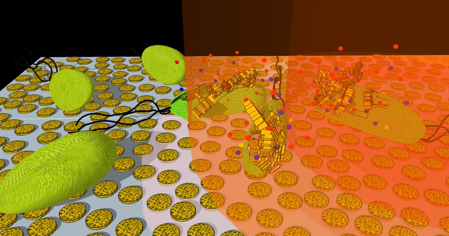 Nanoporous Gold Disk Arrays