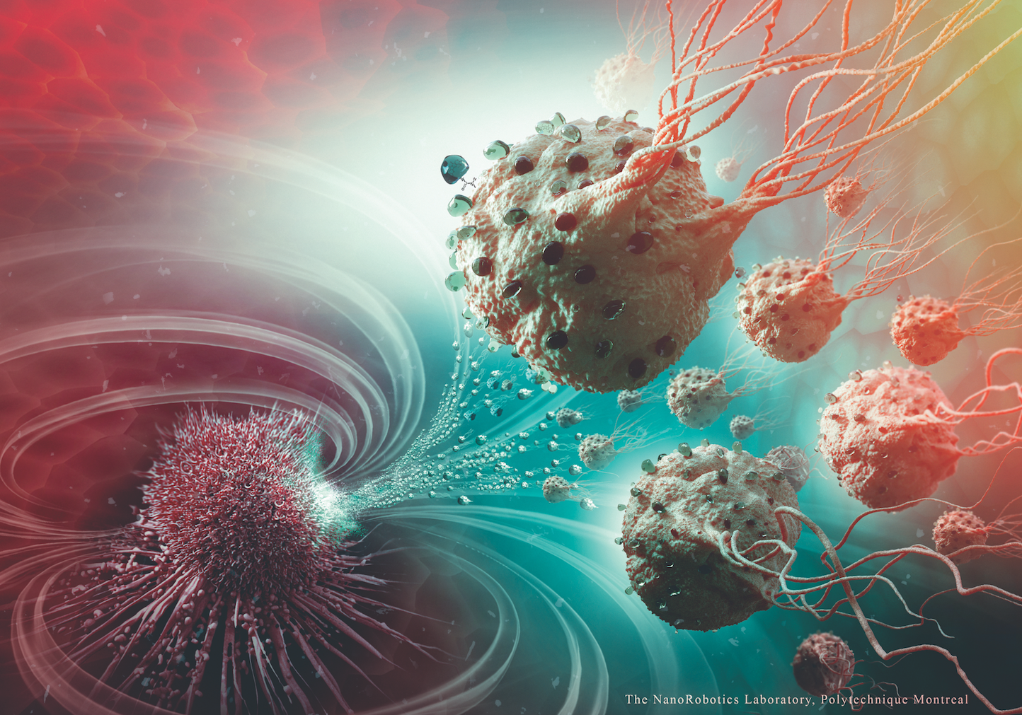 Nanorobots Target Cancerous Tumors