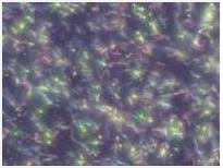 Nanorod Alignment