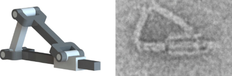 Nanoscale hinges and piston