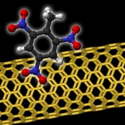 Nanotube Bee