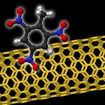 Nanotube Bee