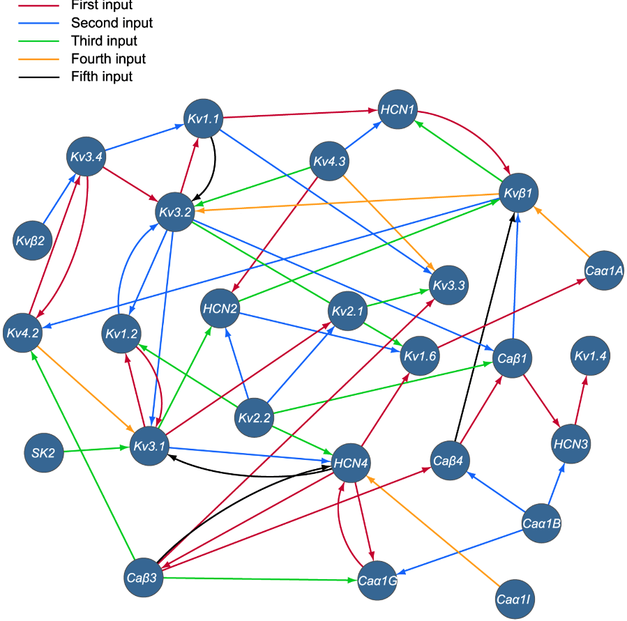 Network_diagram