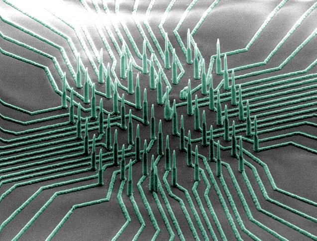 Neuron-reading Nanowire Array