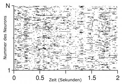 NeuronActivityPattern
