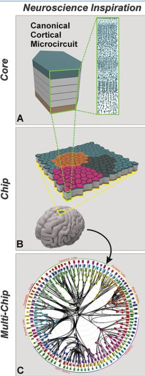 Neuroscience inspiration