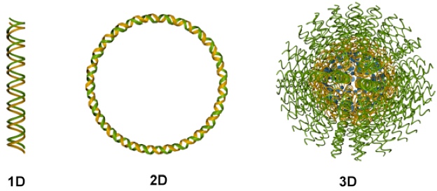 Nucleic acid classes