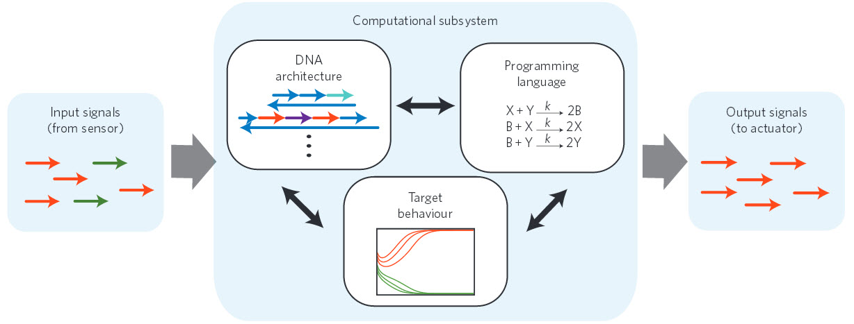Nucleic acid nanocontroller