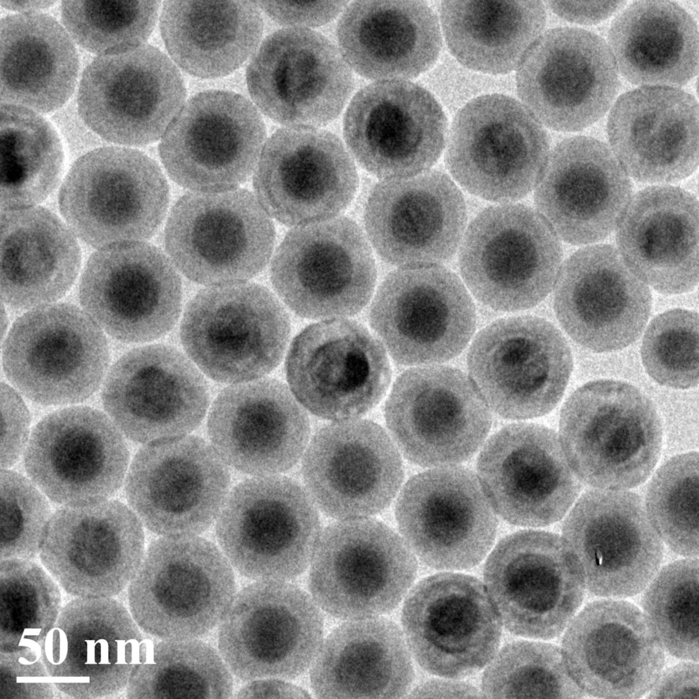 Onion-like Nanoparticle TEM