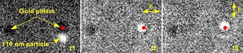 Particle Trapping