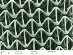 Polyethylene-Glycol1 Polyethylene Glycol1