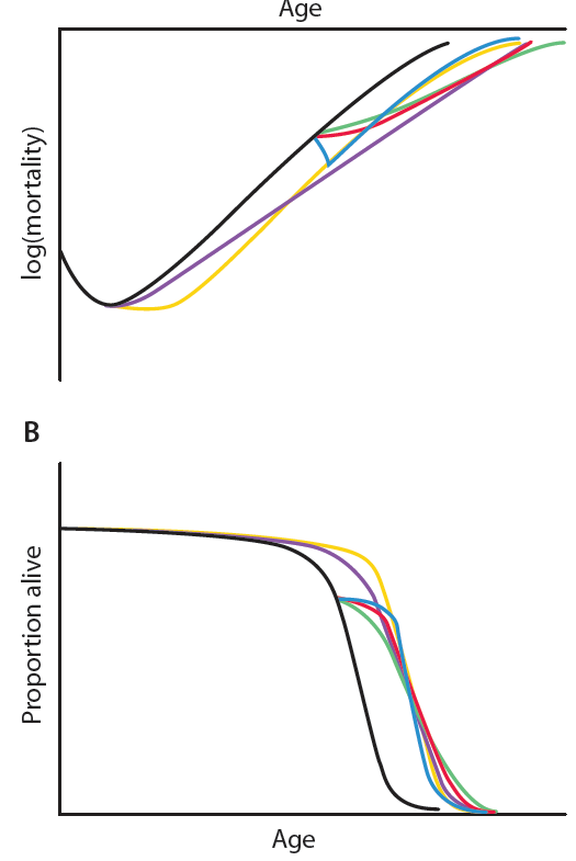 Postponing degeneration