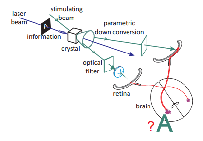 Quantum image Quantum image