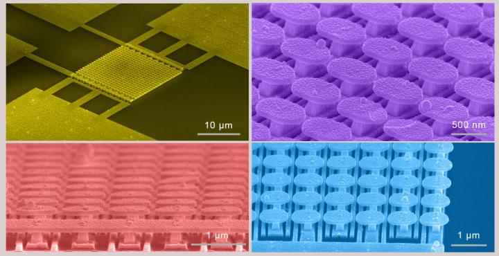 SEM of Gold Metasurface