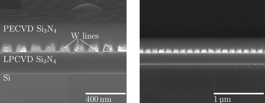 SEM of tungsten disc