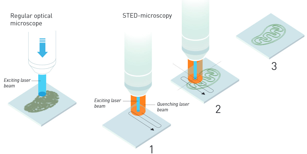 STED_microscopy