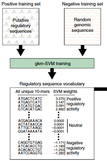 SVM training