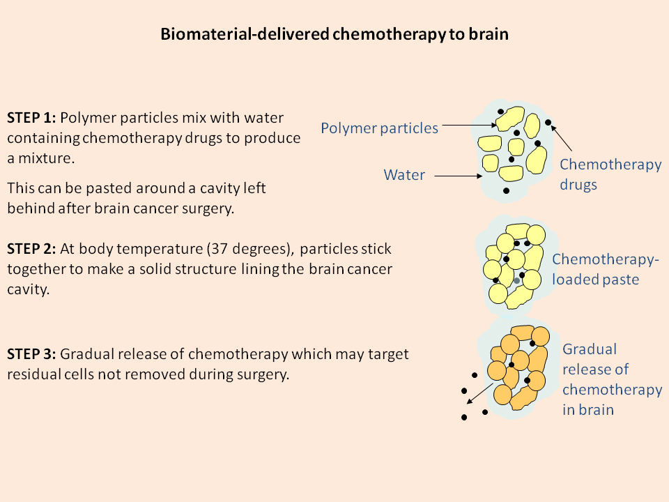 Schematic of drug delivery Schematic of drug delivery