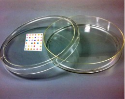 Sensor Dish